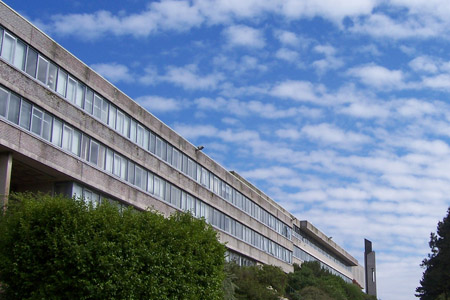 The University